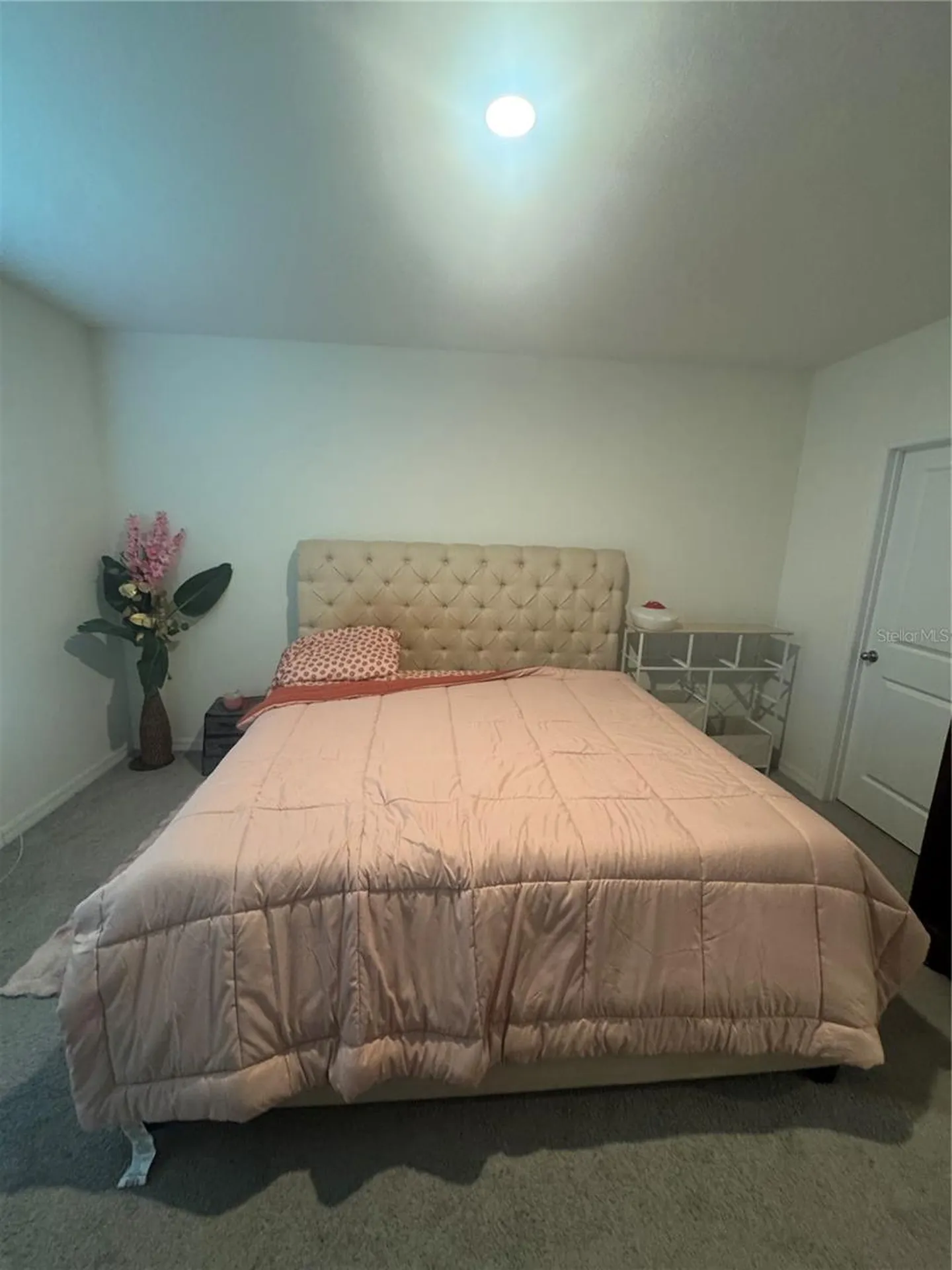 33074 Tulip Petal Lane Wesley Chapel FL 33545