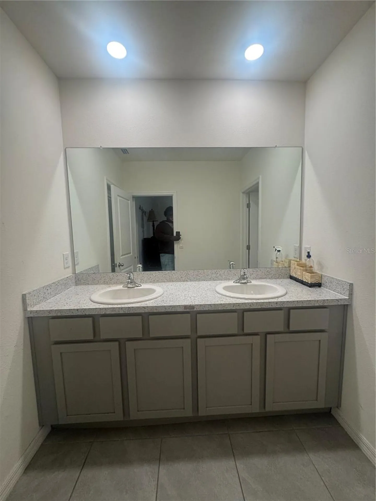 33074 Tulip Petal Lane Wesley Chapel FL 33545