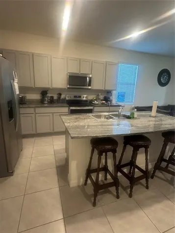33074 Tulip Petal Lane Wesley Chapel FL 33545