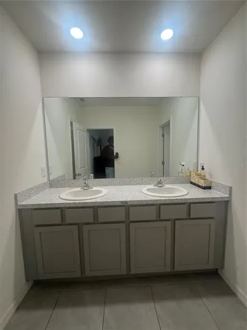 33074 Tulip Petal Lane Wesley Chapel FL 33545