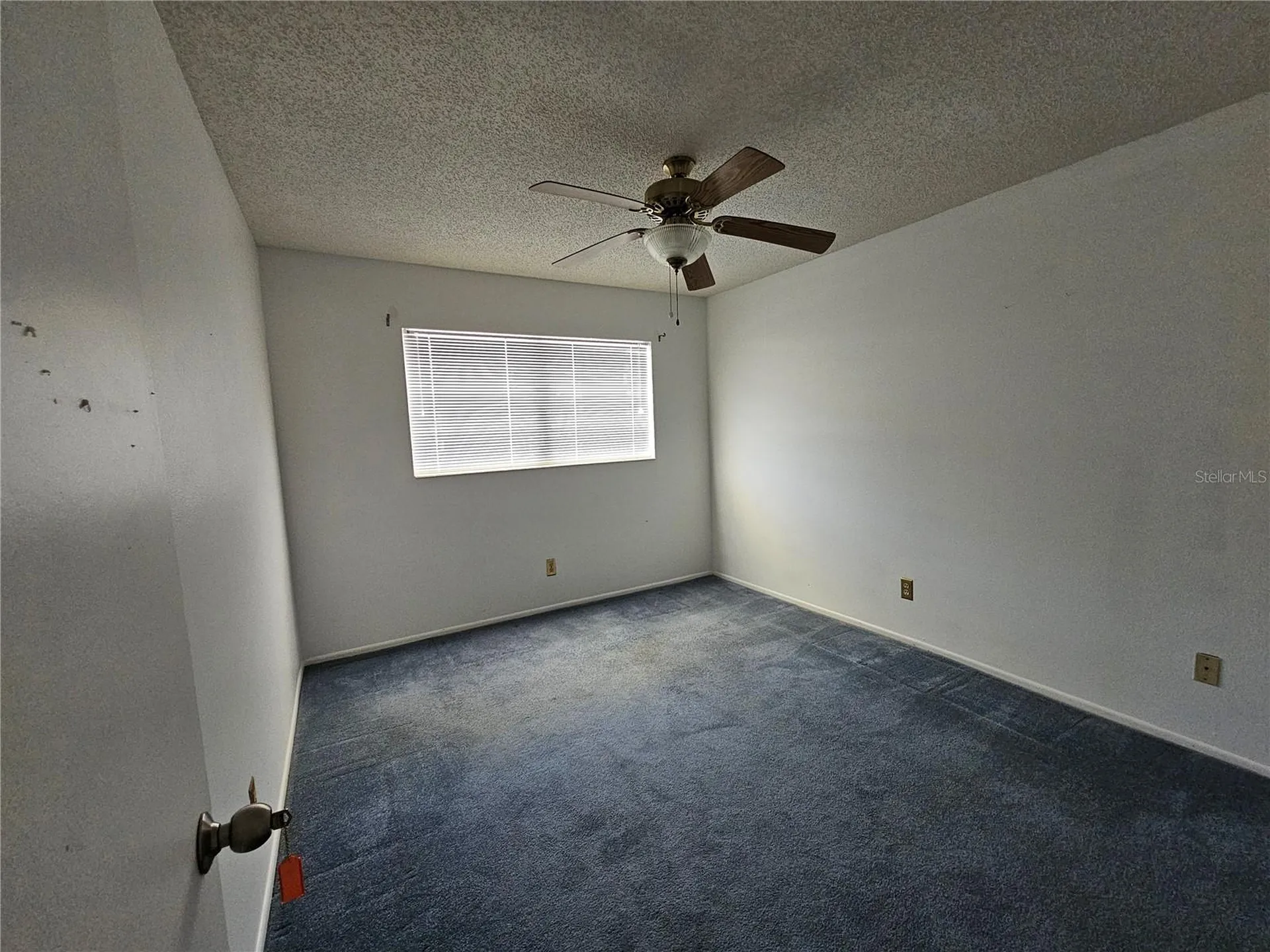 2386 Sumatran Way Clearwater FL 33763