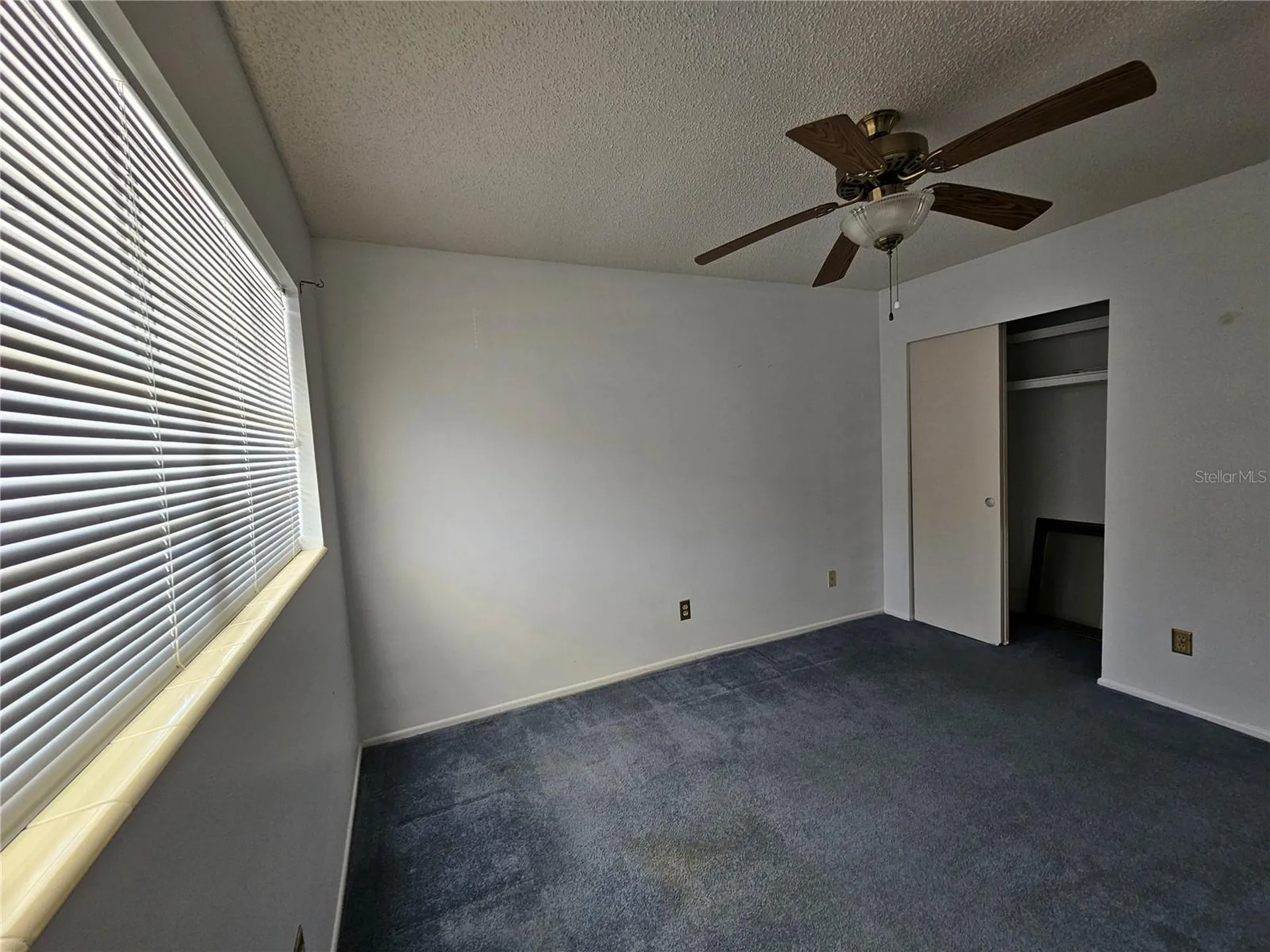 2386 Sumatran Way Clearwater FL 33763
