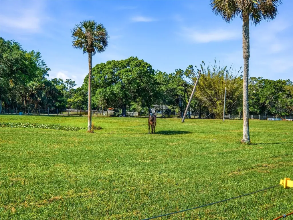 479 Maytown Road Oak Hill FL 32759