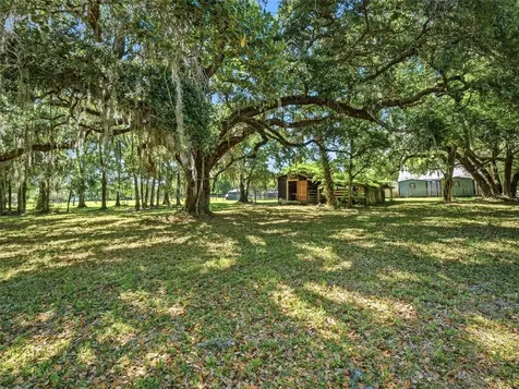 479 Maytown Road Oak Hill FL 32759