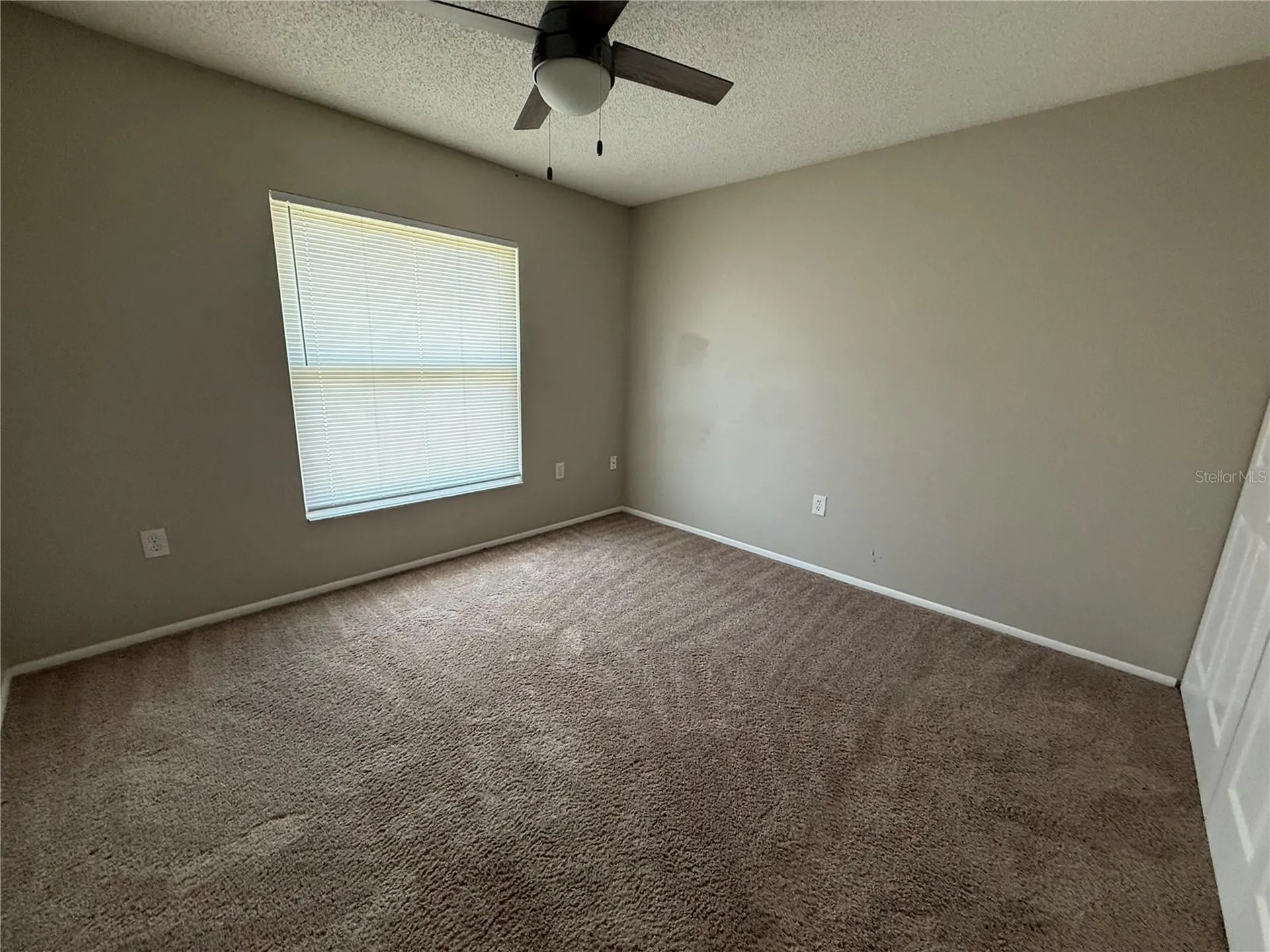 712 Hazy Meadow Court Brandon FL 33510