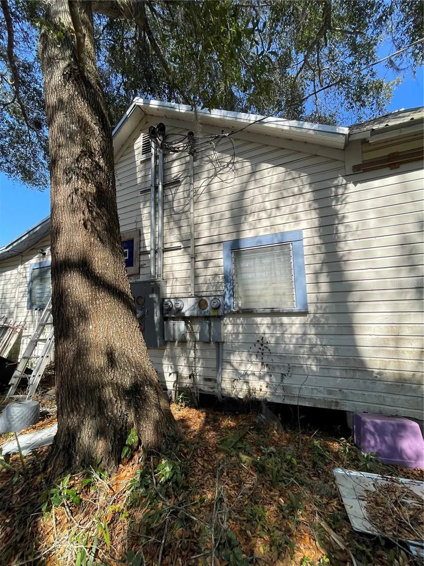 115 SE 1st Avenue Williston FL 32696