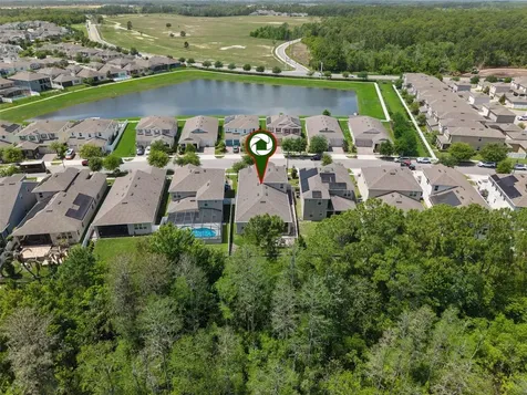 10693 Petrillo Way Winter Garden FL 34787