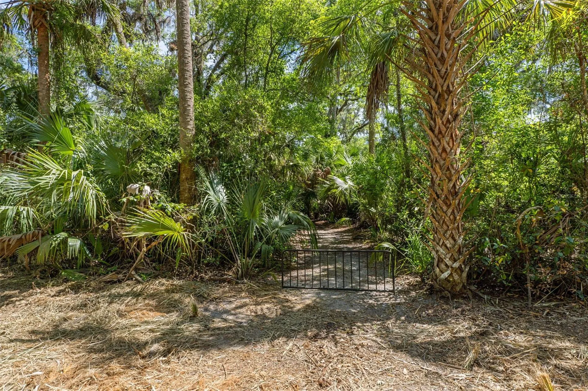 6946 E Channel Drive Hernando FL 34442