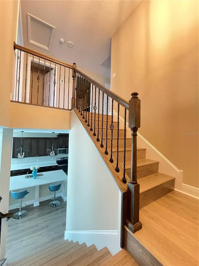 33234 Sycamore Leaf Drive Wesley Chapel FL 33545