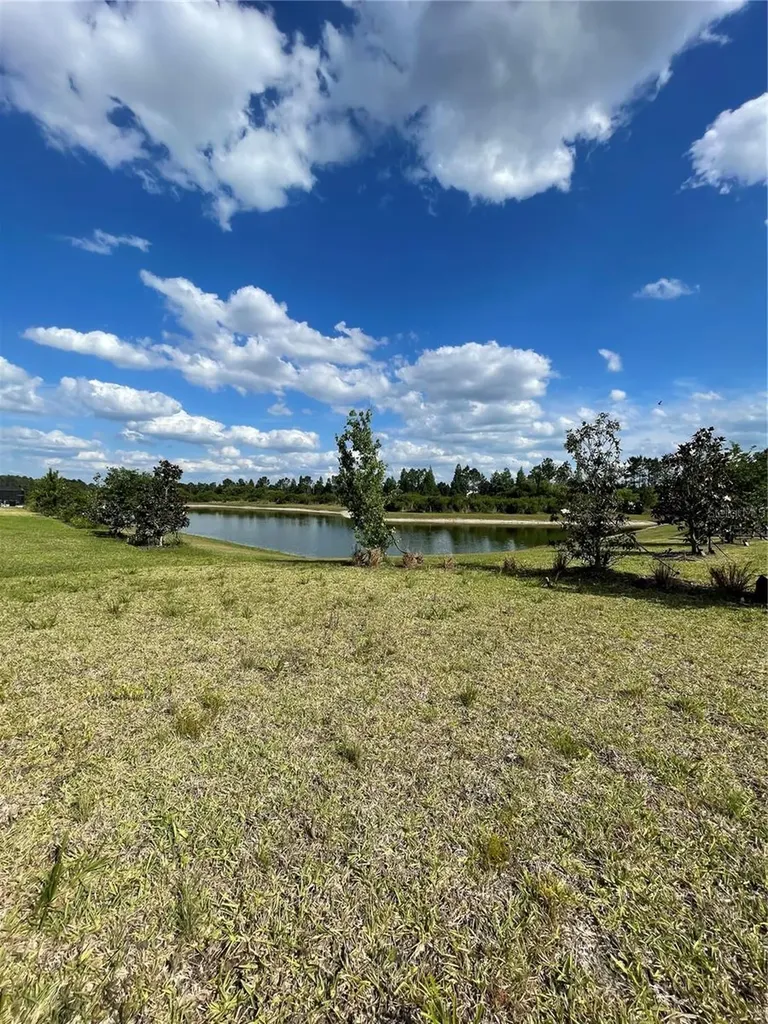 33234 Sycamore Leaf Drive Wesley Chapel FL 33545