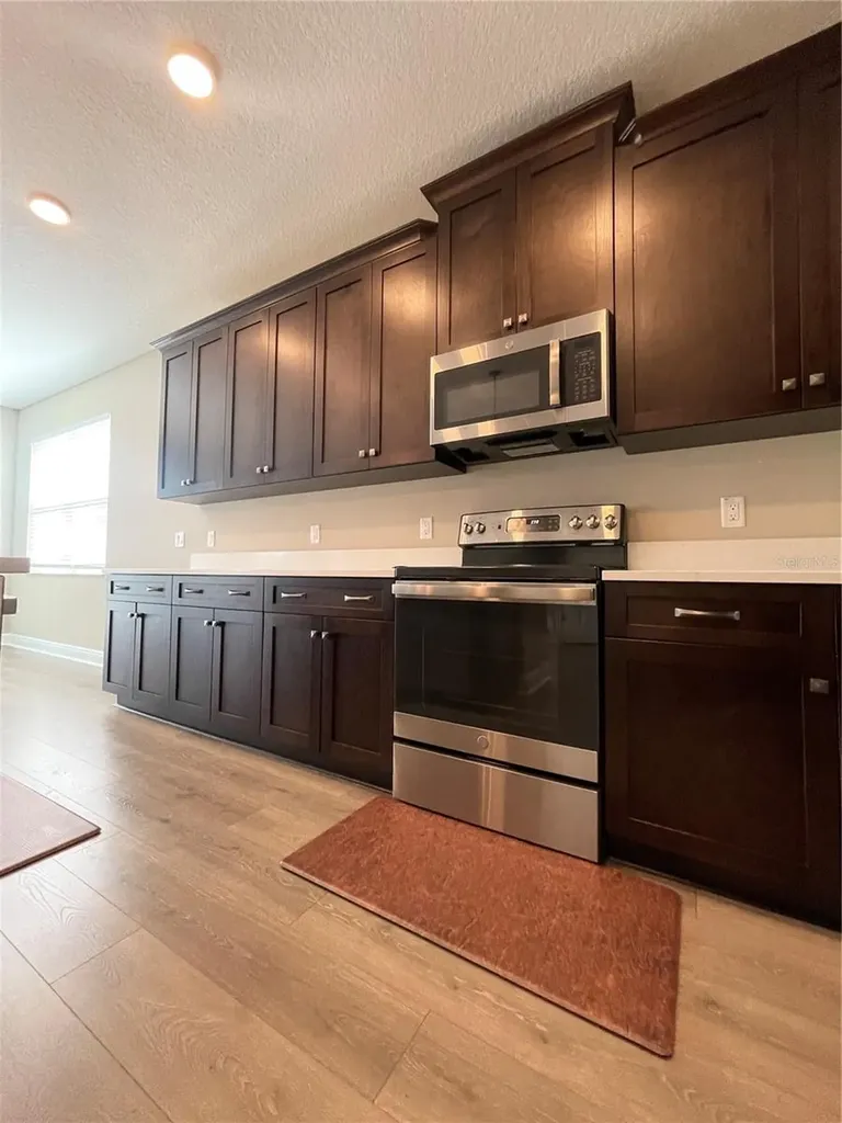 33234 Sycamore Leaf Drive Wesley Chapel FL 33545