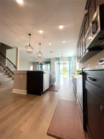 33234 Sycamore Leaf Drive Wesley Chapel FL 33545