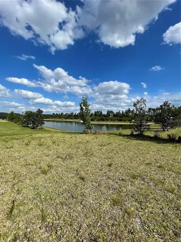 33234 Sycamore Leaf Drive Wesley Chapel FL 33545