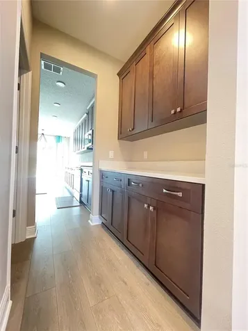 33234 Sycamore Leaf Drive Wesley Chapel FL 33545
