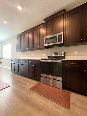 33234 Sycamore Leaf Drive Wesley Chapel FL 33545