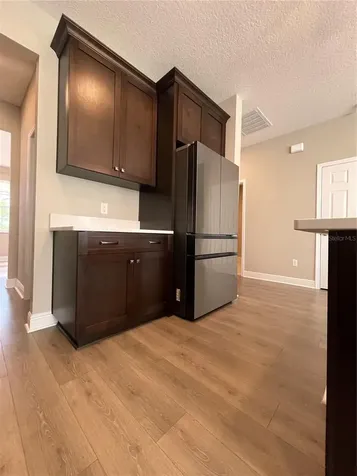 33234 Sycamore Leaf Drive Wesley Chapel FL 33545