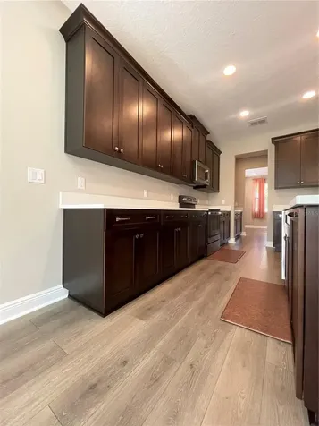 33234 Sycamore Leaf Drive Wesley Chapel FL 33545