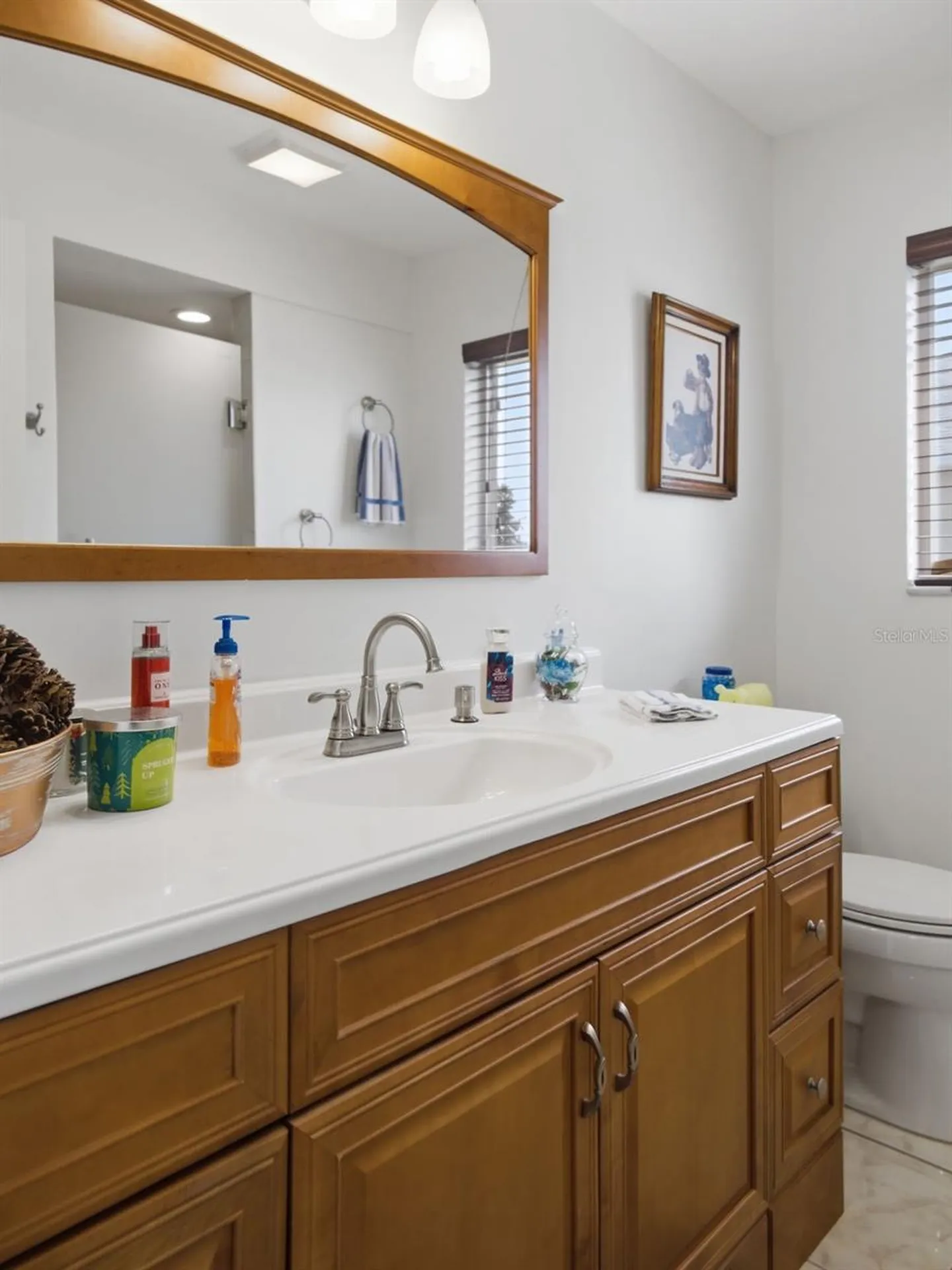 2445 NW 53rd Avenue Road Ocala FL 34482
