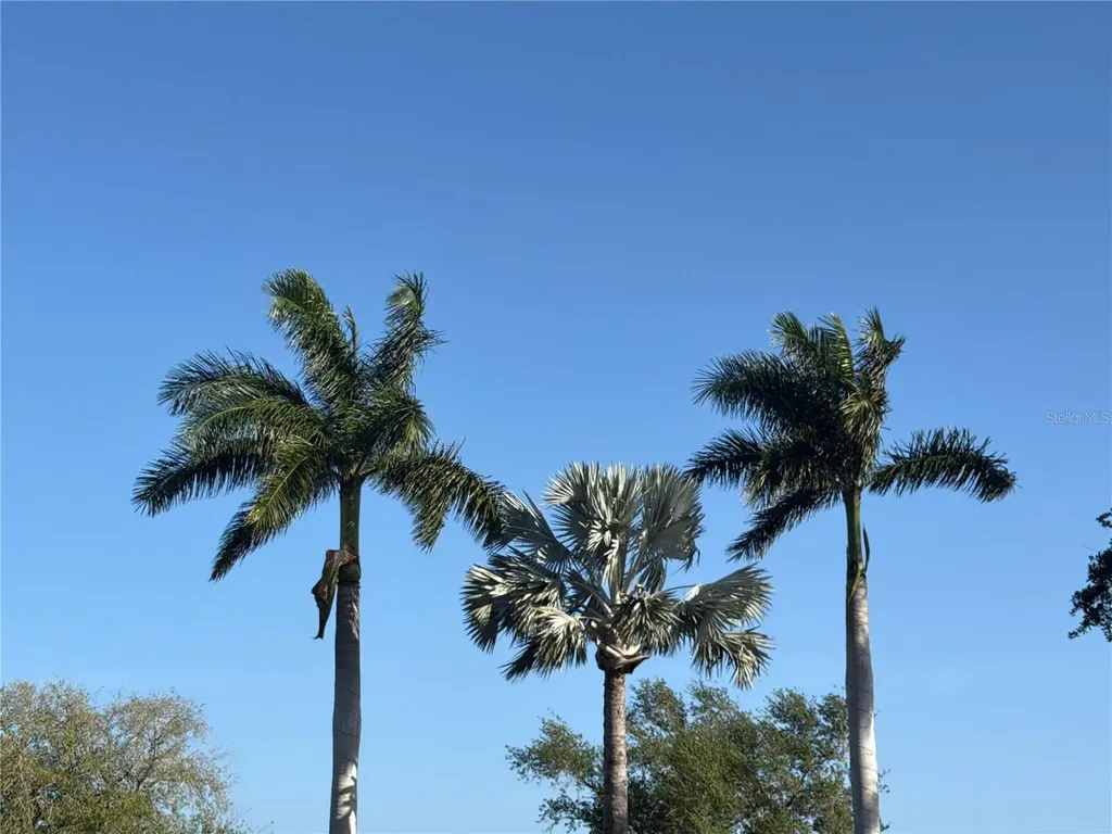 402 Macewen Drive Osprey FL 34229