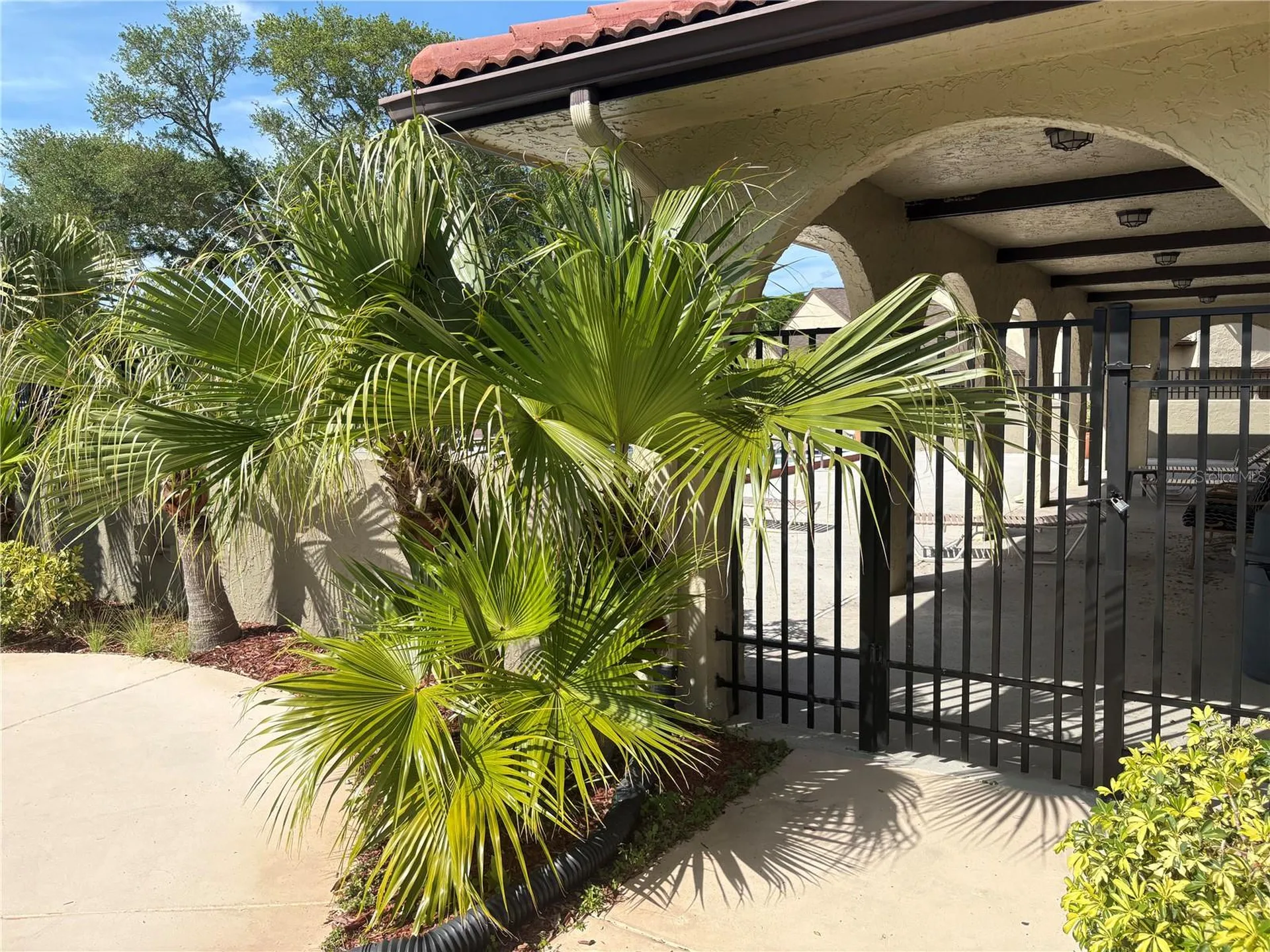 6262 142nd Avenue N Clearwater FL 33760