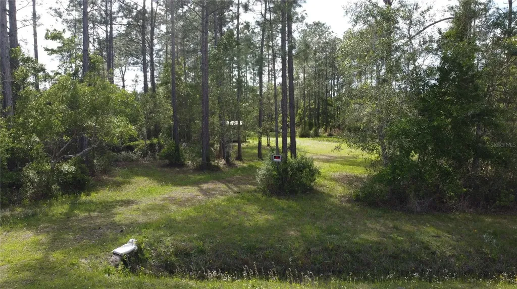 10205 Baylor Avenue Hastings FL 32145