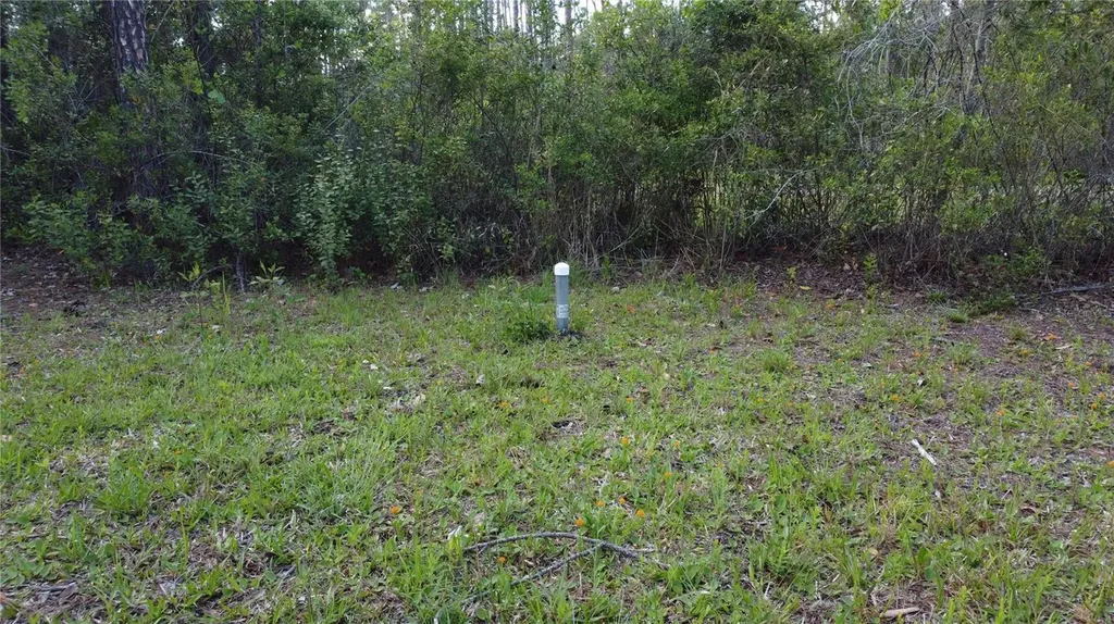 10205 Baylor Avenue Hastings FL 32145