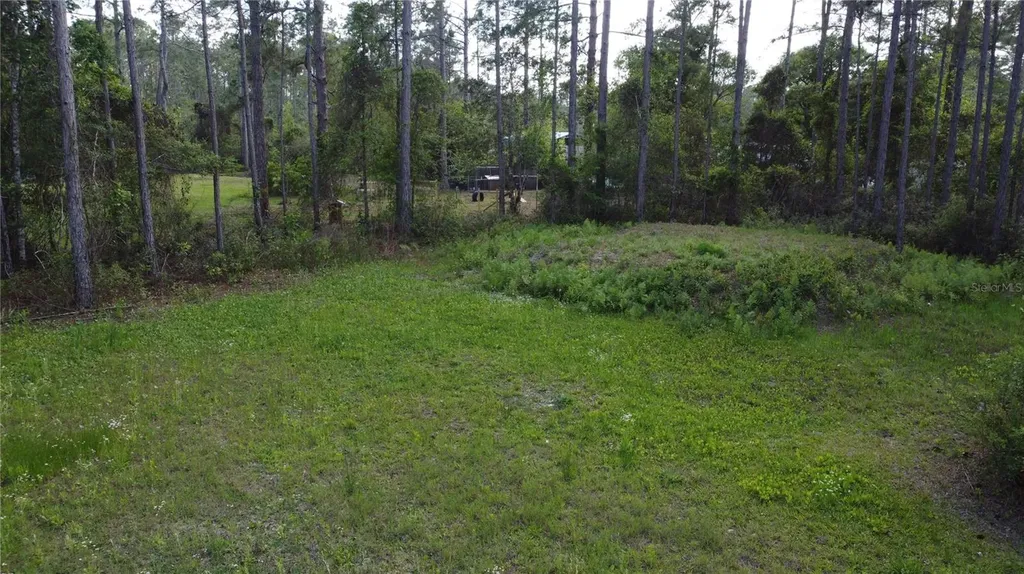 10205 Baylor Avenue Hastings FL 32145