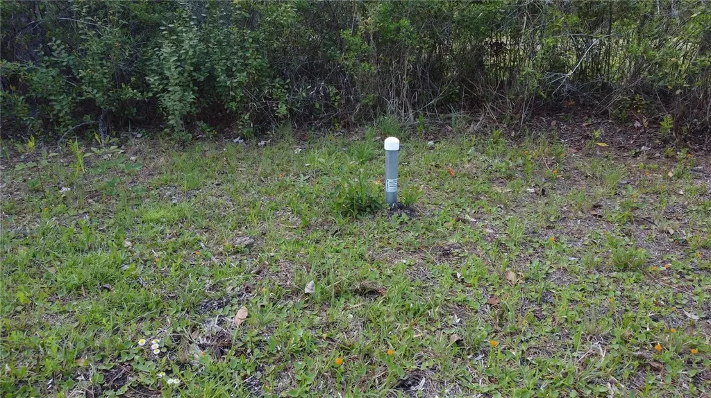 10205 Baylor Avenue Hastings FL 32145