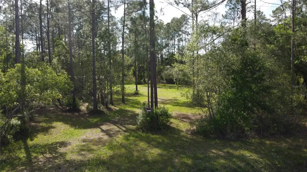 10205 Baylor Avenue Hastings FL 32145