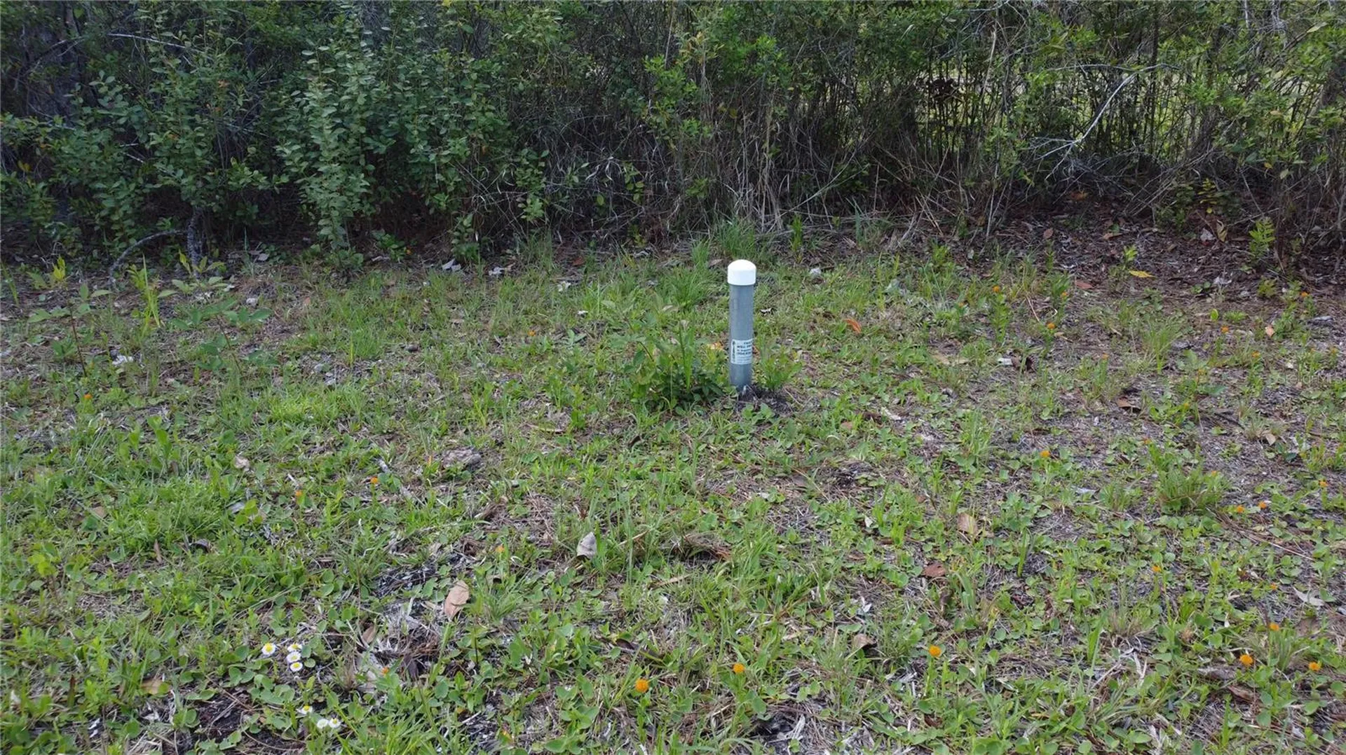 10205 Baylor Avenue Hastings FL 32145