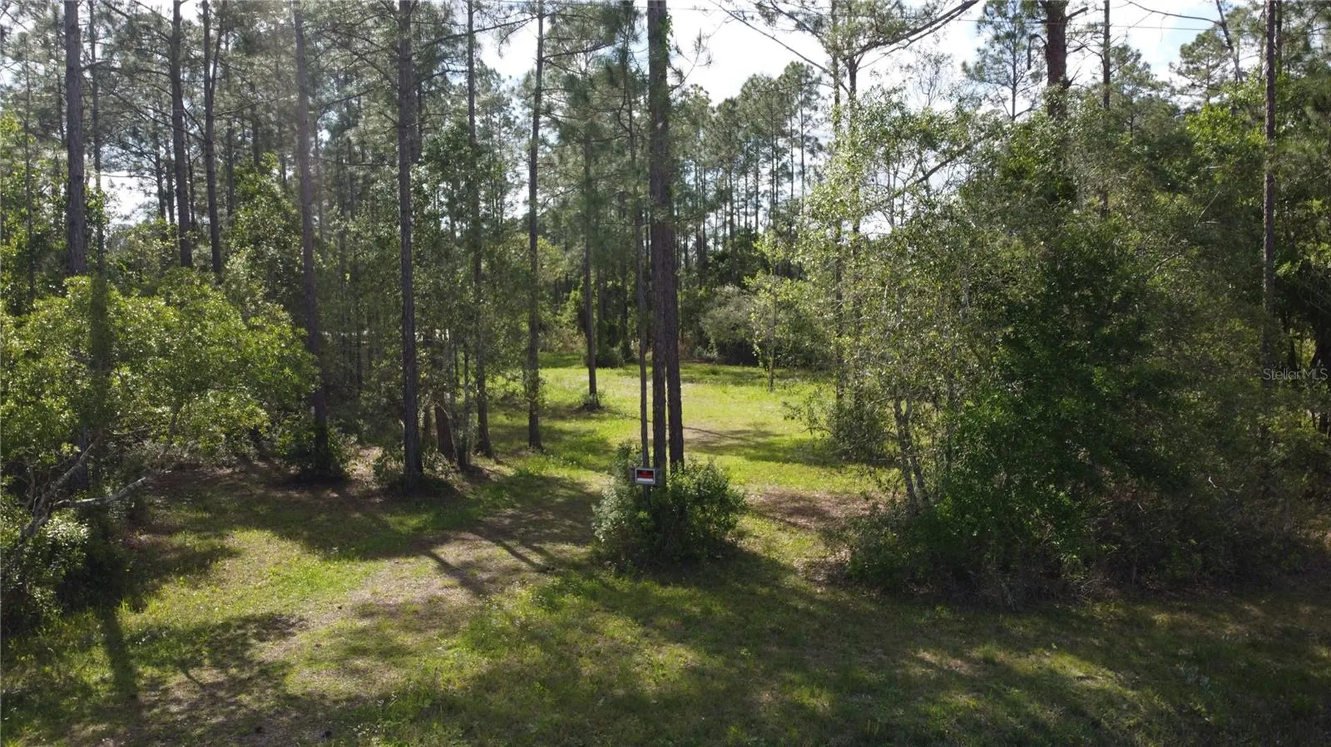10205 Baylor Avenue Hastings FL 32145