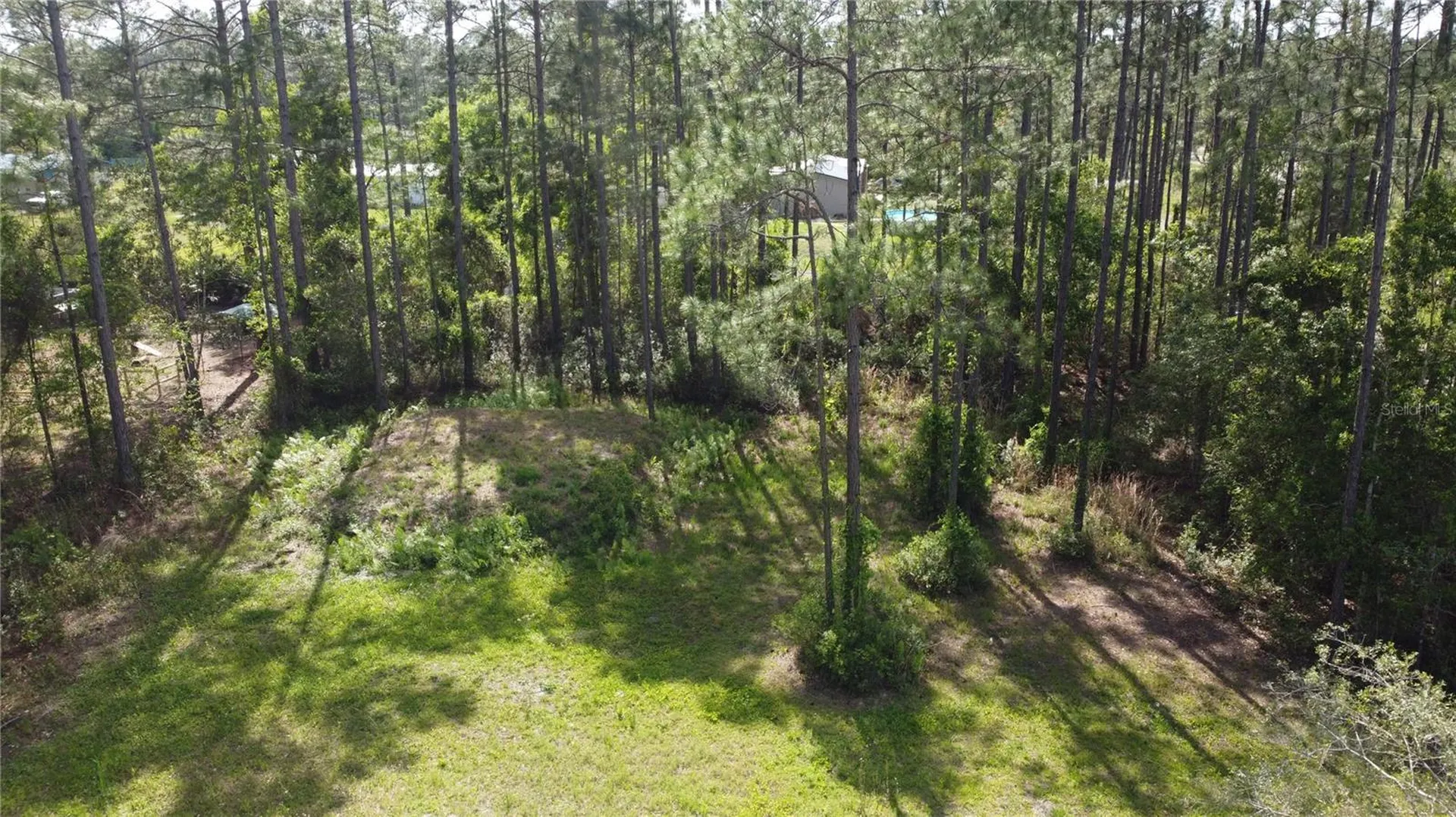 10205 Baylor Avenue Hastings FL 32145