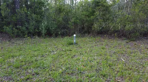 10205 Baylor Avenue Hastings FL 32145