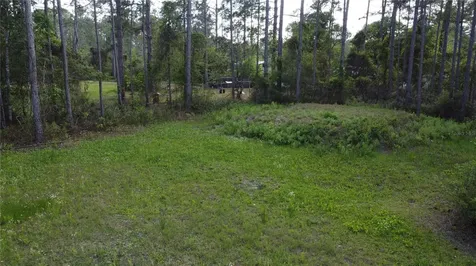 10205 Baylor Avenue Hastings FL 32145