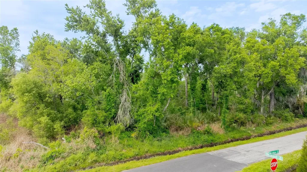 Hickman Avenue Plant City FL 33563