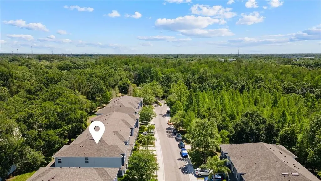4445 Amberly Oaks Court Tampa FL 33614