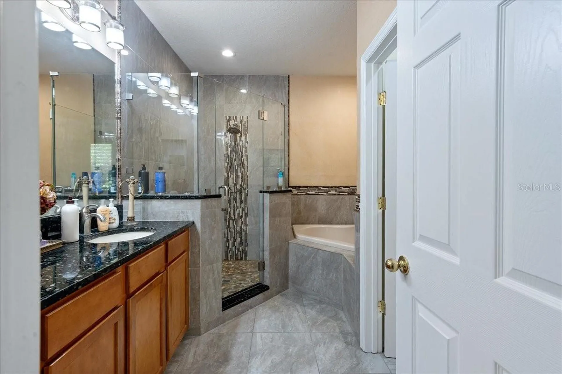 4445 Amberly Oaks Court Tampa FL 33614