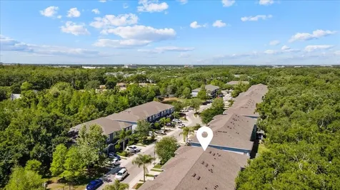 4445 Amberly Oaks Court Tampa FL 33614