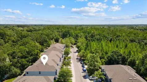 4445 Amberly Oaks Court Tampa FL 33614