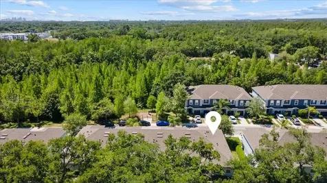 4445 Amberly Oaks Court Tampa FL 33614