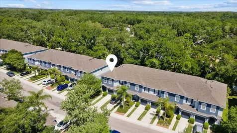 4445 Amberly Oaks Court Tampa FL 33614