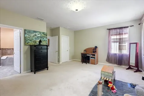 4445 Amberly Oaks Court Tampa FL 33614