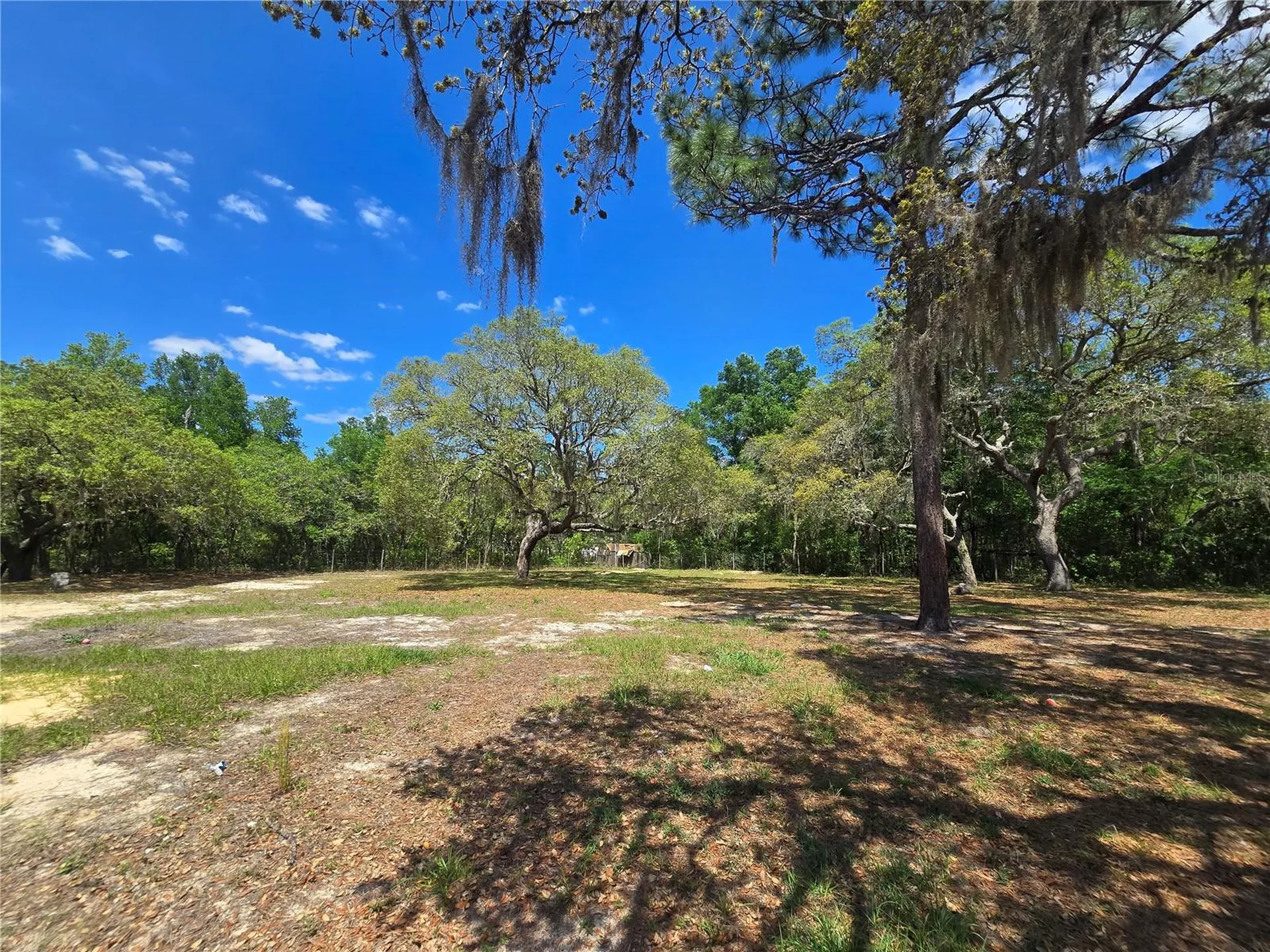 1099 E La Salle Street Hernando FL 34442