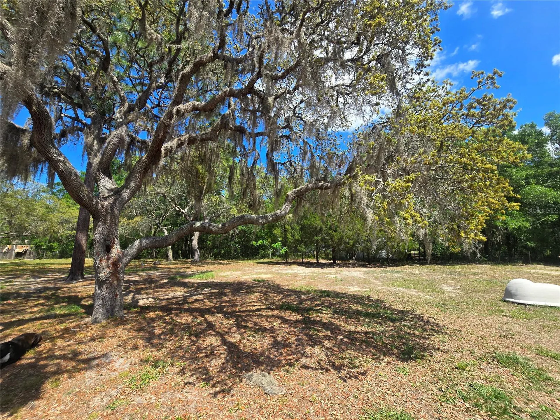 1099 E La Salle Street Hernando FL 34442