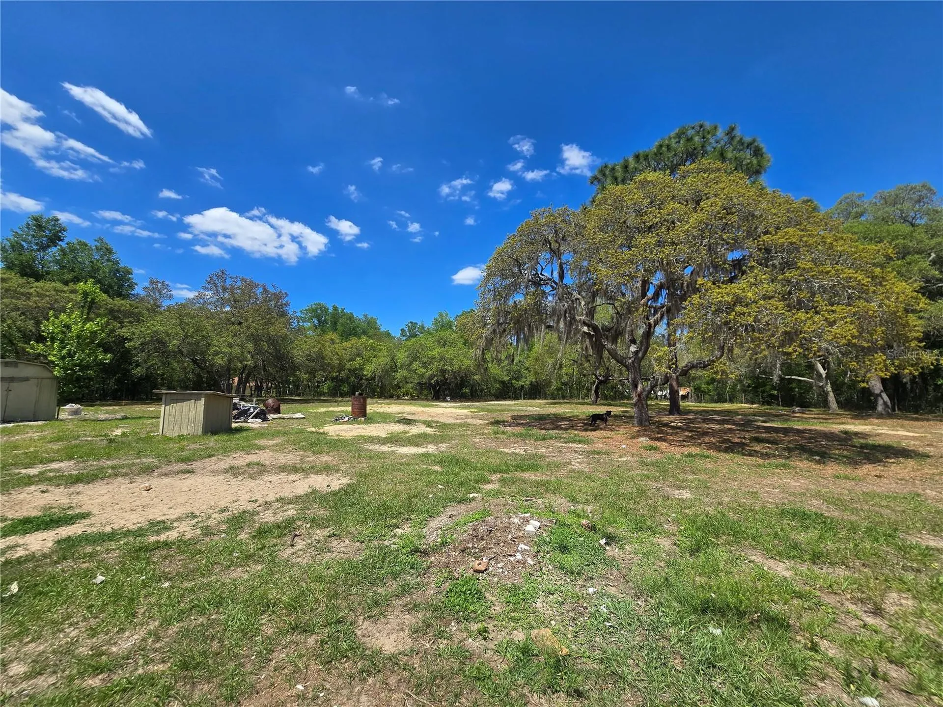 1099 E La Salle Street Hernando FL 34442