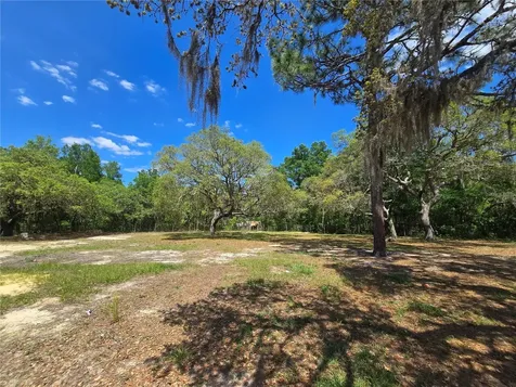 1099 E La Salle Street Hernando FL 34442