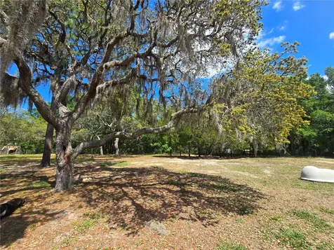 1099 E La Salle Street Hernando FL 34442