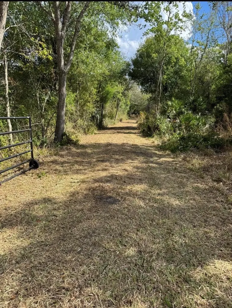 36564 Singletary Road Myakka City FL 34251