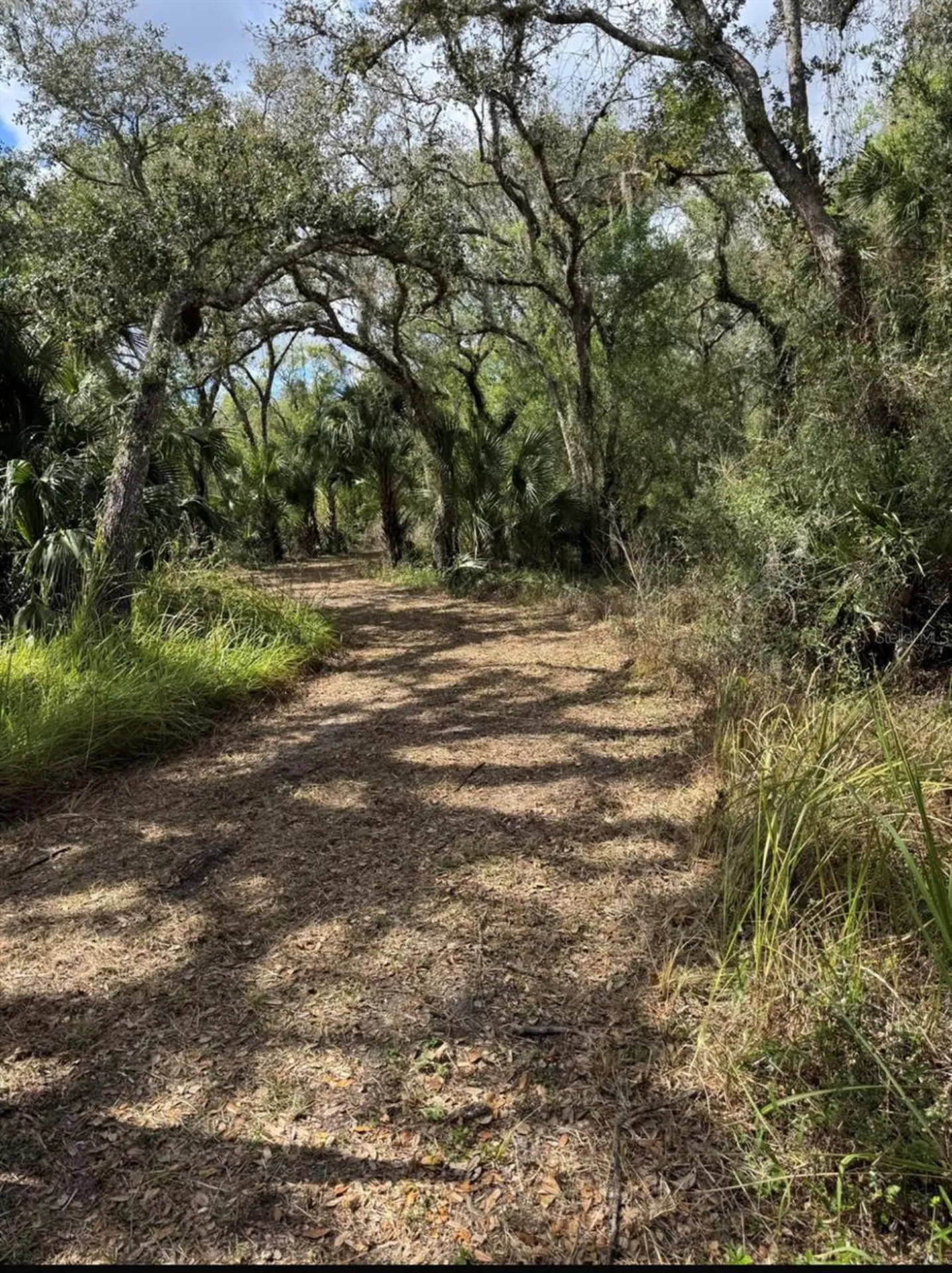 36564 Singletary Road Myakka City FL 34251