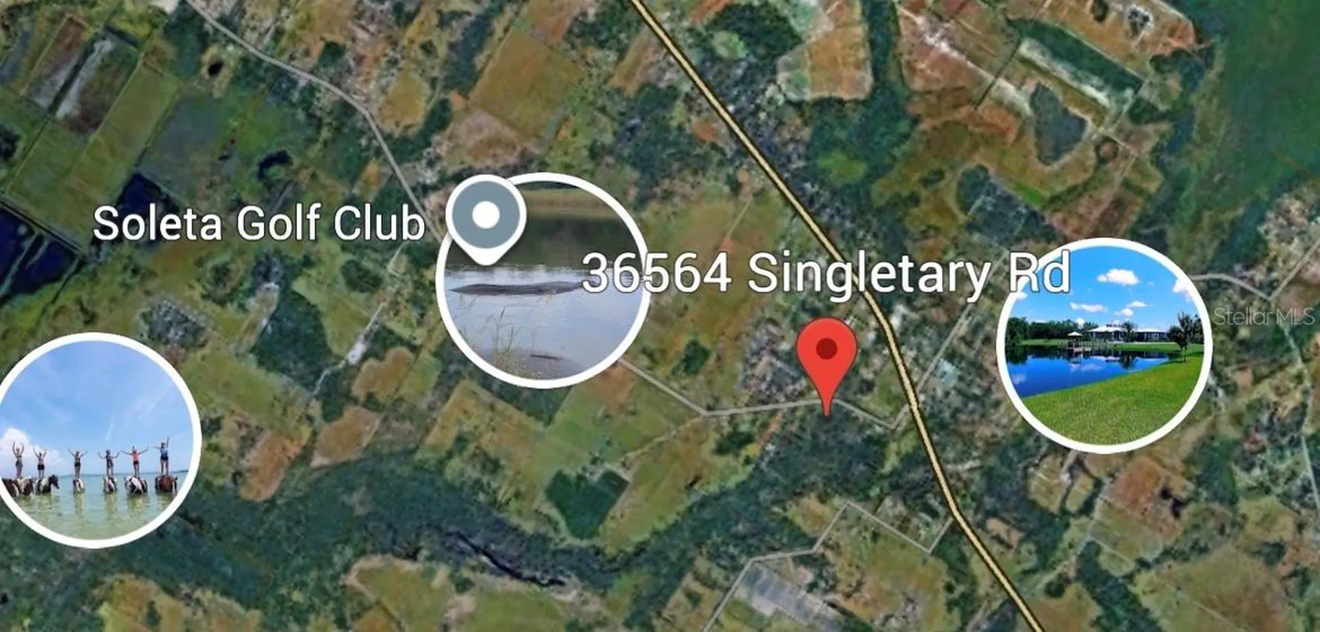 36564 Singletary Road Myakka City FL 34251